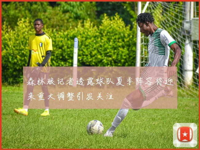 森林狼记者透露球队夏季阵容将迎来重大调整引发关注