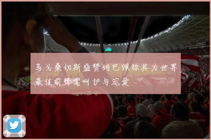 乌戈桑切斯盛赞姆巴佩称其为世界最佳前锋需呵护与宠爱